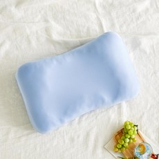 _ 3도씨 익스트림쿨 메모리폼 칩 베개 전용커버 블루_FP1825004, _ 3도씨 익스트림쿨 메모리폼 칩 베개 전용커버 블루_