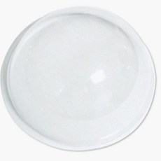 투명반구 소 지구투명반구