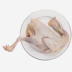 (배터짐) 영양만점 토종 꿩고기 까투리 한마리 (일요일&당일발송), 1개