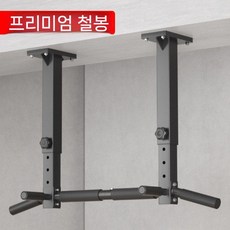 벽 고정 수평바 풀업바 철봉 실내 운동 턱걸이 가정용 홈트 풀업 운동기구, 럭셔리 세로형 두꺼운 가로봉 6MM 철판