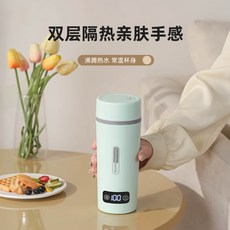 PPY居家好物 車載便攜加熱水杯 電熱水杯 小型出差旅行燒水杯 110V, 綠色,車載款-貨車24V【英文包裝】