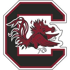 사우스캐롤라이나 게임콕스 대형 비닐 데칼 콘홀, 사우스캐롤라이나 게임콕스 폭풍 클립 우산, 1개