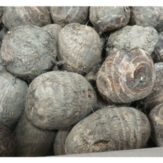 국내산 곡성 토란 특사이즈 흙토란 생토란 알토란, 1개, 3kg