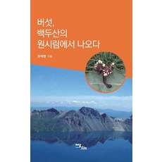 버섯 백두산의 원시림에서 나오다 (큰글자도서), 조덕현 저, 이담북스(이담Books)