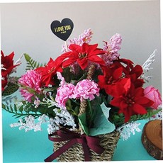 포인세티아 바구니 화분 크리스마스조화 꽃바구니 79000EA 1EA