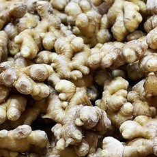 국산 청정 생강 경북산 흙생강 세척생강, 1개, 흙생강 특품 500g