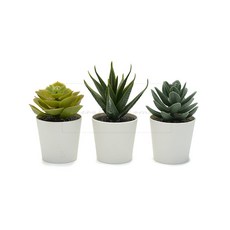 이케아 인조다육화분 6cm 3개 인테리어 사무실 매장 창가 선반