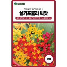 세계종묘 실키포뮬라 씨앗 10립 다년생 아스클레피아스 꽃씨 종자, 1개