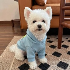 가을겨울 기모 소형견 후드티 테디 요크셔 강아지 보온 애견옷 스타일 맨투맨 미니 도그 맨투맨, 1개, 블루 어스