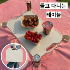 [피크닉 필수템 1위] 라이프풀 좌식 접이식 경량 캠핑 테이블 야외 피크닉 폴딩 미니테이블