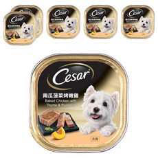 Cesar 西莎 南瓜菠菜烤嫩雞 犬用風味餐盒, 100g, 6罐