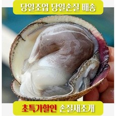 산지직송 여수 최상품 손질새조개 당일조업손질, 1개, 200g