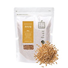 식사용 호라산 밀 800g 이집트 곡물 슈퍼