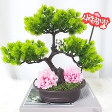 화분마당 먼지먹는 향기소나무 카네이션 천연이끼 분재 공기정화 스칸디아모스, 레이디 핑크, 1개