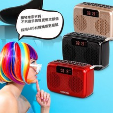 WONDER 藍牙/USB/TF/收錄音機 WS-T036U 支援全錄音可錄藍牙音樂與FM廣播, 金色