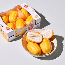 [첫 출하] 프리미엄 성주 참외 고당도 검증출고 가정용 정품, 1박스, 성주 참외 가정용 2.5kg(6~10과)