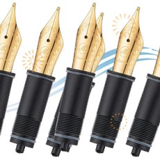 Asvine 애스바인 펜촉 만년필 닙 3개 6호 금도금 미디엄 V169 P20 P30 V126 호환 2개 AF