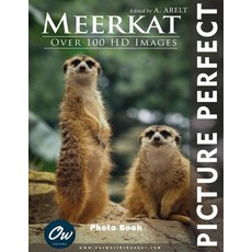 (영문도서) Meerkat: Picture Perfect Photo Book Paperback, Independently Published, English, 9798329059403