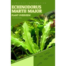(영문도서) Echinodorus Martii Major: From Novice to Expert. Comprehensive Aquarium Plants Guide Paperback, Independently Published, English, 9798853902367