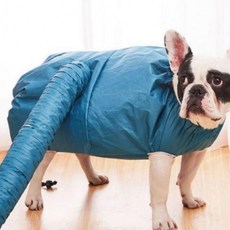 반려동물 펫 건조복 드라이 고양이 강아지 말리기 털, 1개, ONE_M