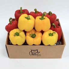 [올즈마켓]빨강 노랑 못난이 파프리카 사이즈색상랜덤 1kg, 1개