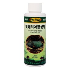 원터치 4번 에이드 박테리아활성제 120ml, 1개