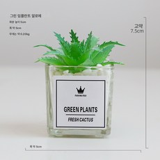 다육식물 모사 작은 화분 거실 실내 사무용 탁상 설치 선인장 장식 녹색 식물 조화 장식품, 녹색 식모 알로에, 1개
