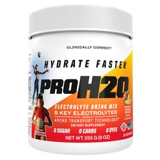 피브이엘 Hydrate Faster PROH2O Electrolyte Drink Mix Peach Mango Smash, 255g, 1개