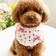 하니펫 반려동물 귀요미스카프 딸기 반달 케이프, 1개, 레드