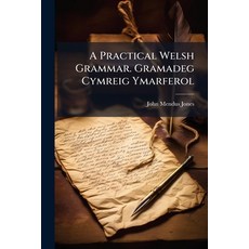(영문도서)A Practical Welsh Grammar. Gramadeg Cymreig Ymarferol Paperback, Hutson Street Press, English, 9781023761833