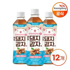 광동 돼지감자차, 500ml, 12개