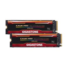 GIGASTONE M.2 SSD 1TB Gen4 PCIe NVMe 4.0x4 SSD M.2 2280 PS5 PS5 5 000MBs 3D NAND SLC (2팩) 내장