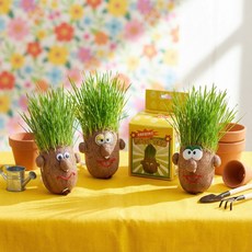 다양한 표정 얼굴 잔디인형 심지인형) 디인형 키우기, 1개