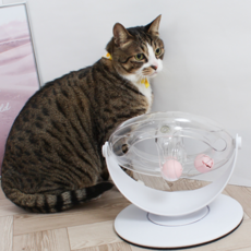 펫트롱 고양이 플레이볼 장난감, one color, 2개