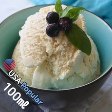 E040 바닐라 100ml (Vanilla) 프래그런스오일 캔들 디퓨저 향수, 1개