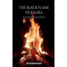 (英文圖書)The Black Flame of Kalika: A Year Of Realizations 平裝版, Notion Press, 英文