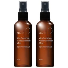 올니즈 비타 솔루션 마데카소사이드 승무원 고보습 기미 잡티 개선 미스트, 2개, 100ml