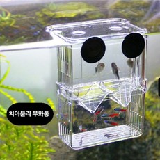 굿라이프 구피 부화통, 1개