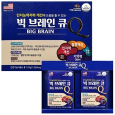 빅 브레인큐 120캡슐x1박스 미국산 포스파티딜세린 은행잎추출물 비타민E 인지능력 기억력 개선도움, 120정, 1박스