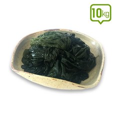 (장흥해초) 염장 쇠미역 10Kg eve*1564sq, 1개