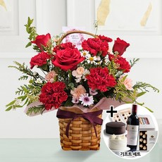 꽃바구니 선물 기념일 GIFT 세트상품 (사랑의 카네이션 a-0287) 케이크 빼빼로 샴페인 초콜릿 사탕 전국당일배송 생일 생신 어버이날 선물 카네이션, + 샴페인(무알콜), 알뜰