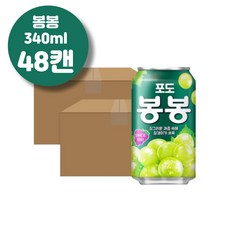 알갱이 캔음료 봉봉 포도 대량구매 340ml 48캔 아침주스, 48개