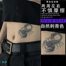 紋身貼紙 草本果汁紋身貼紙, 1個, T19-A1009逼真蠍子6X4cm