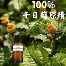 千日菊原精 Jambu Pure Absolute Oil, 1個, 30g