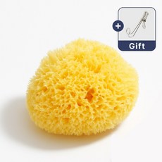 룰라러브 초극세모 신생아목욕 그리스산 천연 해면 스펀지 레귤러, 1개