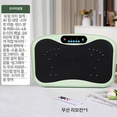 진동운동기 홈트 덜덜이 기계 전신 쉐이크 운동기구 모델그린, 프리미엄 그린 6코어 200단계 A, 기본 모델명/품번
