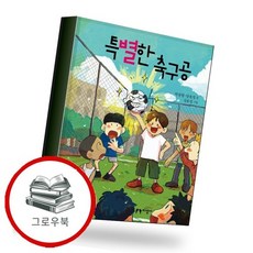 특별한 축구공 특별한축구공 추천도서, 없음, 없음