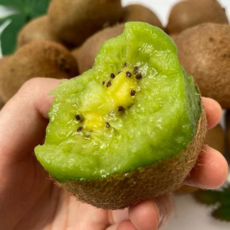 국내산 참다래 그린키위 제철 신선한 소과, 1개, 1kg