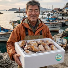 강철민어부 연평도 냉동 절단 국내산 암꽃게, 1박스, 절단 암꽃게 1kg