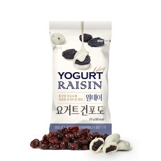 산과들에 원데이 요거트 건포도 20g, 20개